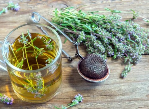 تصویر 4 از قیمت خرید گیاه دارویی آویشن شیرازی + فروش ویژه